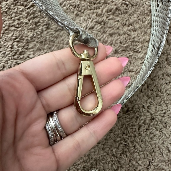 Shop Taxidermy REAL python bag 🐍 - Picture 10 of 12